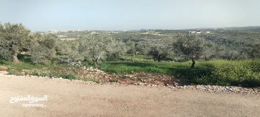 5 قطعة ارض 1728 متر كوشان طابو في كفرعبوش ، تنازل من المالك مباشرة