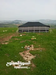  23 خيم شعر تراثيه