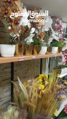  3 اشجار صناعيه