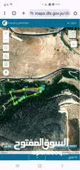  6 كرم رمان مثمر مروي من تبع ماء مساحة الكرم 8250 متر مربع على شارعين في وادي الرمان دير ابو سعيد منتج
