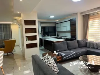  1 شق مفروشه للايجار في المصيون قرب سيجافريدو