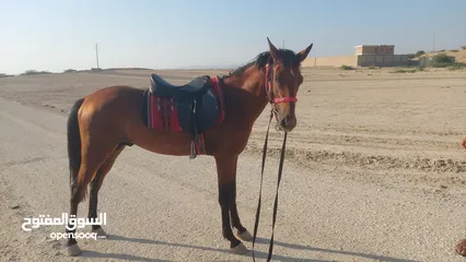  1 اذكرو الله وصلو ع نبي