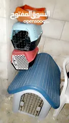  1 اكسسوارات قطط للبيع بحالة جيدة استعمال 6 اشهر.