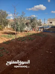  3 بيت للبيع في الرجم الشامي