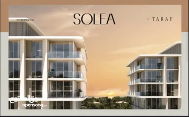  4 Solea alsaadiyat