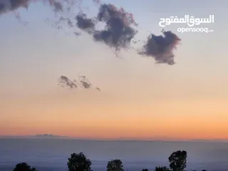  3 ارض استثمارية مميزة بمساحة 12555 متر مربع للبيع