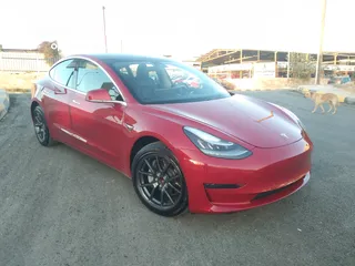  19 tesla 3 2020 standrd plus