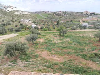  5 2300 م السلط المغاريب قطعة ملوكية تصلح ل فيلا او مزرعة اطلالة ع الغرب و جبال فلسطين