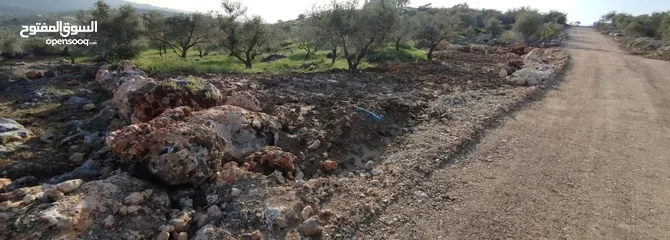  4 قطعة ارض 1728 متر كوشان طابو في كفرعبوش ، تنازل من المالك مباشرة