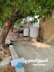  11 بيت عربي للبيع في عجمان منطقه ليواره البستان مقابل المنطقه الحره Home for sale in Ajman