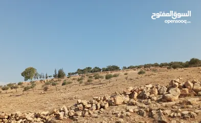  2 اللبيع ادفع 50الف