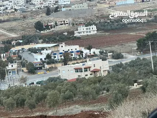  1 ارض للبيع سكنيه بجانب ترخيص جرش منبسطة مثل الكف بجانب فلل حديثه مساحة 800m مفروزه