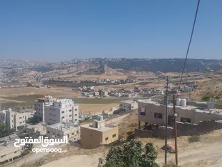 26 شقتين متجاورتين ارضيتين للايجارمطله على عين الباشا بالقرب من المطلات