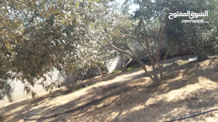  2 شاليه مساحة دلم متكامل الخدمات متميز الموقع