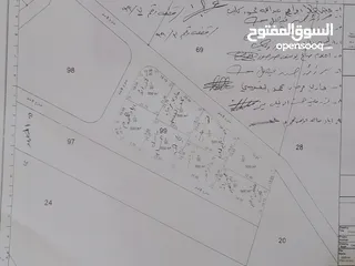  2 قطعتين أرض للبيع في جريبا  حوض أم حية مساحة ( 500 متر )  وحوض فرع الرتم مساحة ( دونم و150 متر )