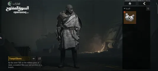  5 حساب Arena Breakout Mobile