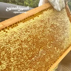  15 عسل بلدي طبيعي 100%