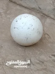  4 احجار كريمه