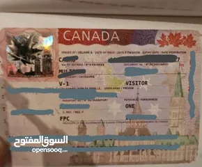  7 فيزا الى الإتحاد الاوروبي وكندا أستراليا و بريطانيا باسرع وقت تأمين جميع الاراق ما عليك