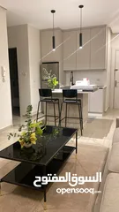  2 شقة  1 نوم مفروشة للايجار ( Property 43304 )-174999640
