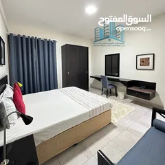  12 Beautiful Fully Furnished 1 BR Apartment