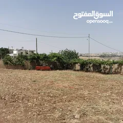  11 قطعة أرض للبيع