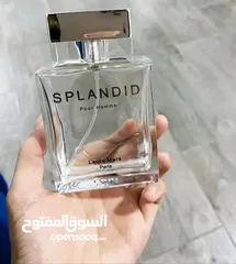  1 عطر سبلاندد الفرنسي