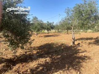  13 قطعتان ارض للبيع احدهما تجاري و الاخرى سكني ب على مدخل ذيبان /مادبا