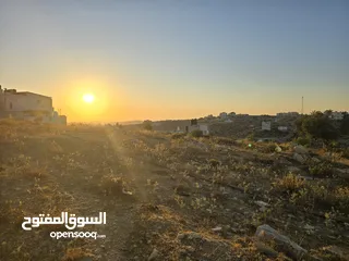  2 اطلاله ابديه ع الغرب 700 متر ابو شخيدم
