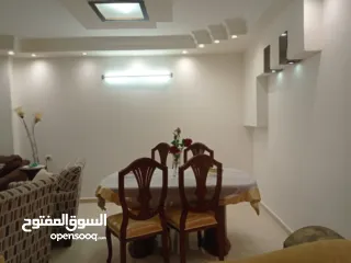  10 شقه مفروشه