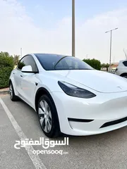  1 TESLA Y KOREAN