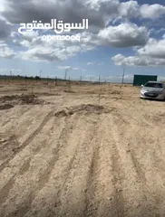  1 مزرعة زيتون ولوزيات
