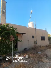  15 بيت مستقل تقريبا مزرعه مشيكه كامله مزروعع عنب وحمضيات مساحه البناء 160م وغرفه خارجيه 40م الواقع احلا