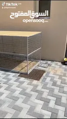  21 bird cage for garden