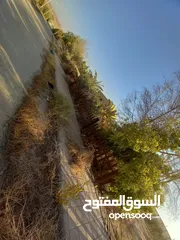  2 ارض للبيع من المالك مباشرة