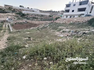  2 ارض في دورا منطقة الصرة تصنيف A