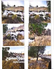  4 إعلان بيع أرض في منطقة وادي المسلم / الكركفة - بيت لحم