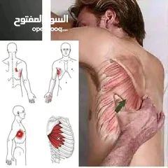  13 مدرب لياقه بدنيه وبناء أجسام ومدرب سباحه