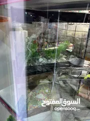  19 أحواض سمك مميز عروض خيالية جودة عالمية تابع الوصف