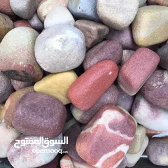  3 مطلوب وكيل حصرى بالرياض