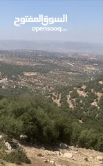  3 قطعه ارض مميزه الزعتري السلط