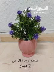  3 فازات مناظر مراي