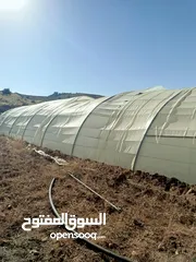  8 بيت بلاستيك
