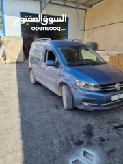  7 كادي ترخيص 2017 شصي قصير