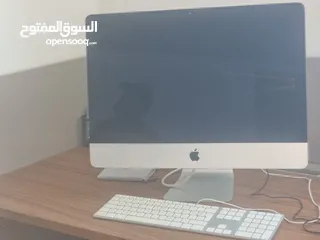  16 لليع المستعجل - أثاث مكتبي فاخر في أبوظبي - ومعدات كوفي شوب