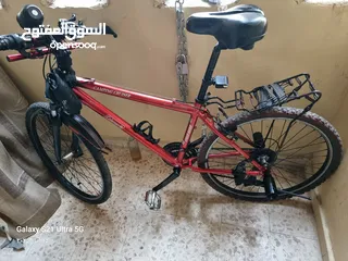  1 بسكليت اوروبي كولمان صنوبرصات اقرأ الوصف