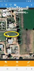  12 أرض بالساعدية بالقرب من سوق السيارات مساحتها 906 متر في حي سكني تبعد عن الطريق الرئيسي 4 كيلو متر