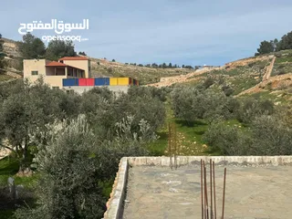  18 مزرعة اسامة لافي ‘Osama lafi farm