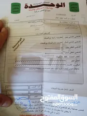 14 نيسان صني كوري