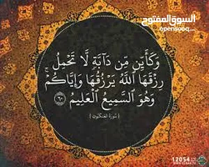  2 شقة للأيجار زاوية الدهماني بلقرب من الخارجيه الدور الخامس يوجد مصعد كهربائي تتكون من صالة استقبال